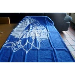 AA Gent strandlaken 70x140 cm