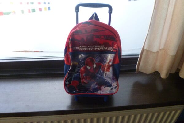 Spiderman kleine trolley 32x23cm