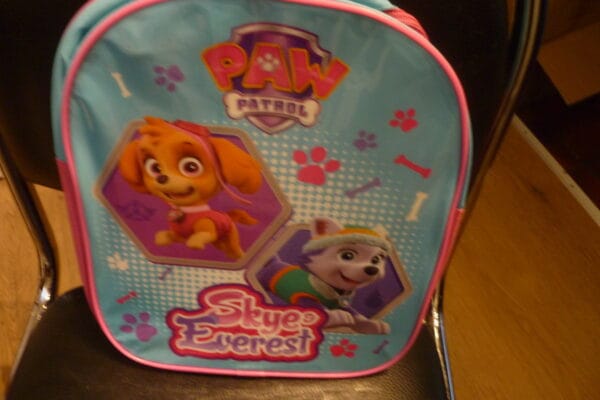 Paw Patrol rugzak skue everest PWP1-8039 32x28cm