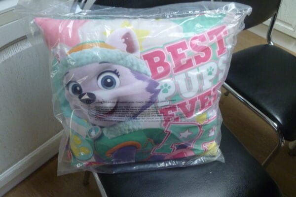 Paw Patrol kussen BEST PUPS EVERT 37x37cm