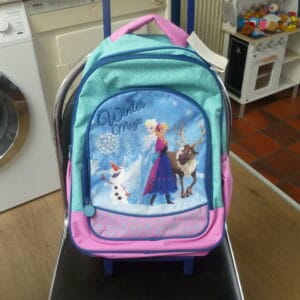 Frozen trolley 43 x32cm 2 grote vakken en kleine vakjes en opzij een klaine zakje voor flesje water