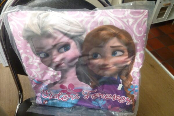 Frozen kussen Sisters Forever 39x39cm