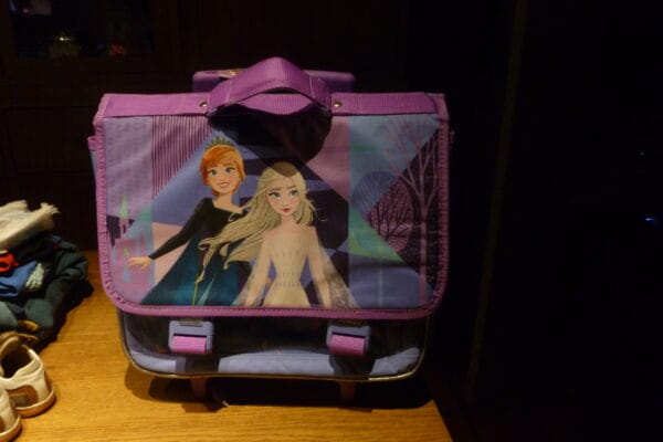 Frozen grote trolley boekentas FR3310417 34x40cm 3 vakken