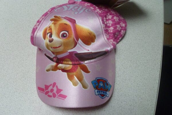 Paw Patrol pet Skije