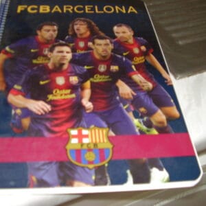 Barcelona schrift met kleine ruitje 31x21cm