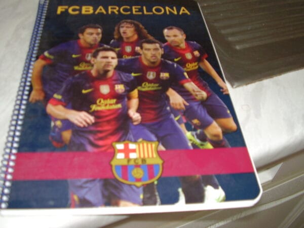Barcelona schrift met kleine ruitje 31x21cm