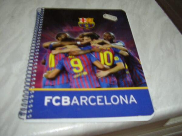Barcelona spiraalschrift met kleine ruitjes 21x15.50cm