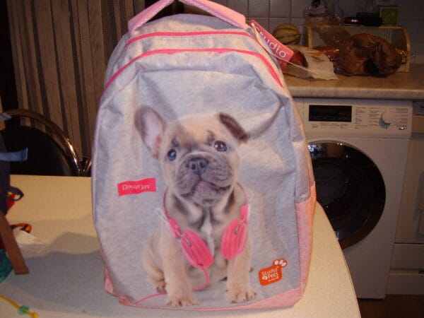 Petshop rugzak hond ST592718 45X35X17cm 2 grote vakken