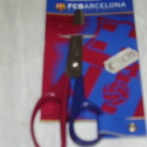 Barcelona kinderschaar