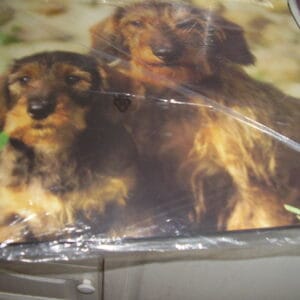 Hond bureauonderlegger 52x49.50cm