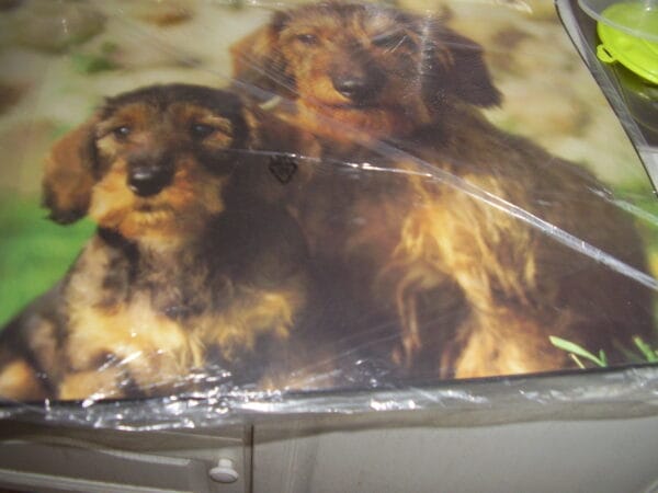 Hond bureauonderlegger 52x49.50cm