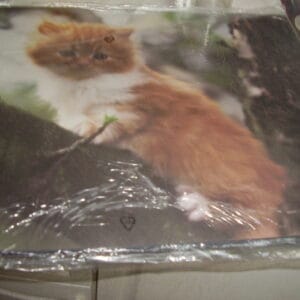 Poes bureauonderlegger 52x49.50cm