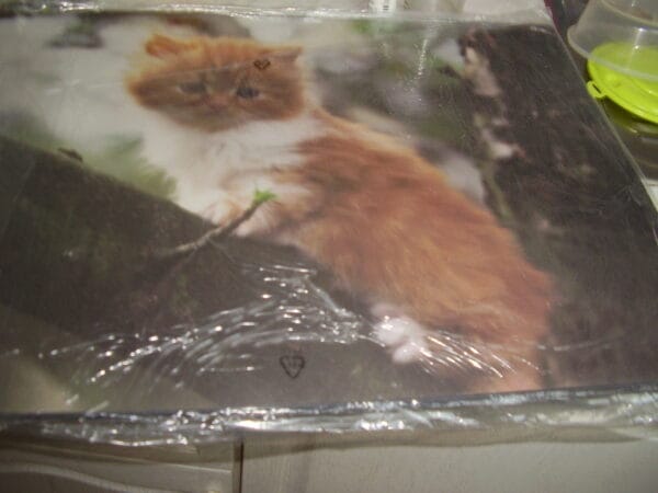 Poes bureauonderlegger 52x49.50cm