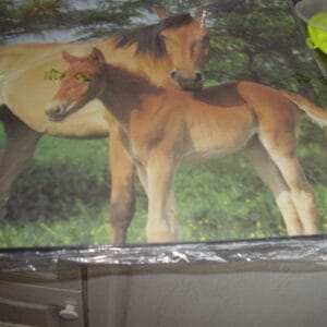 Paard bureauonderlegger 52x49.50cm