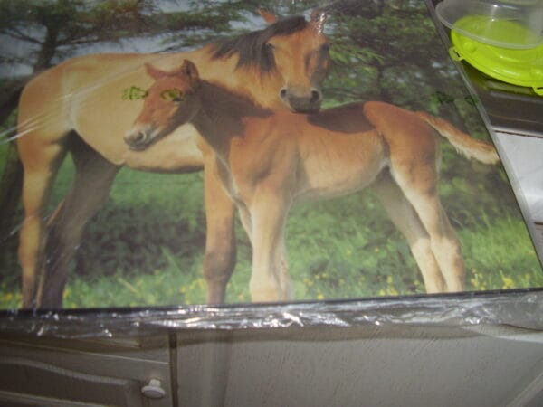 Paard bureauonderlegger 52x49.50cm