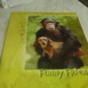 Funny Friends aap ringmap A4