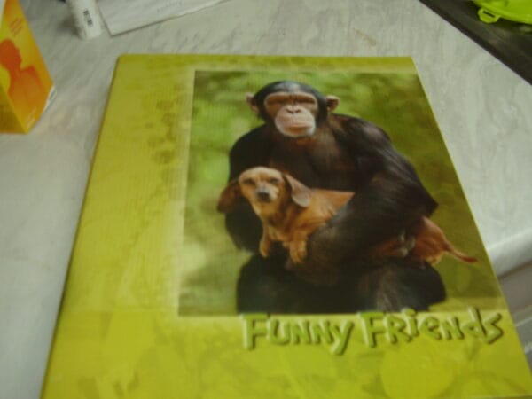 Funny Friends aap ringmap A4