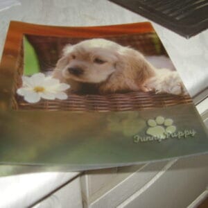 Hond fijne ringmap 3cm