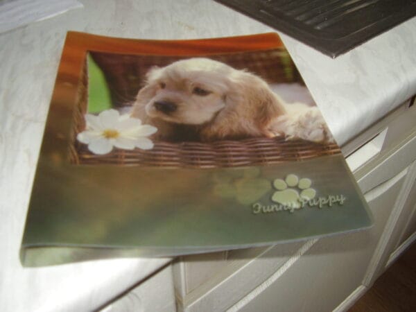 Hond fijne ringmap 3cm
