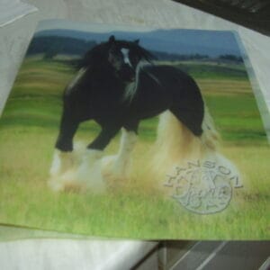 Paard fijne ringmap A4 plastiek 3cm