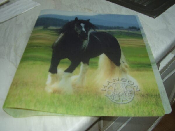 Paard fijne ringmap A4 plastiek 3cm