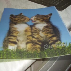 Poes fijn elastiche map 3cm