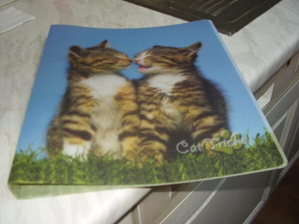 Poes fijn elastiche map 3cm