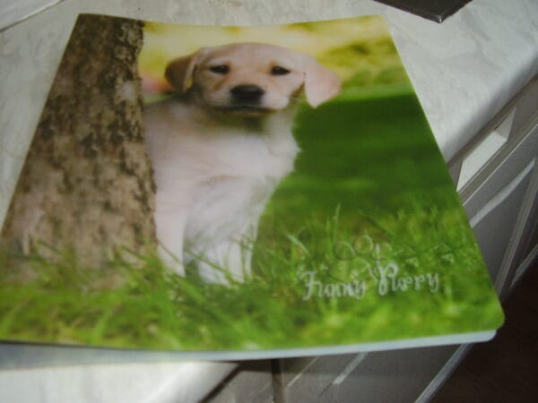 Hond fijne ringmap 3cm