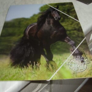 Paard elastieke map A4
