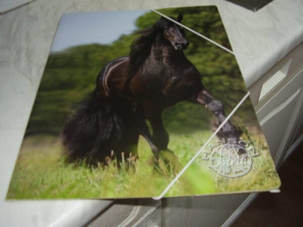 Paard elastieke map A4