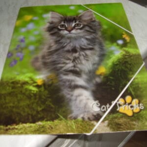 Poes elastische map A4