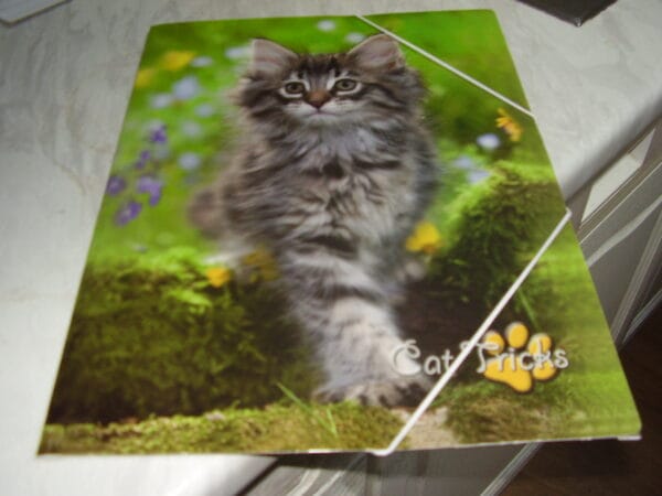 Poes elastische map A4
