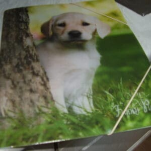 Hond elstische map A4
