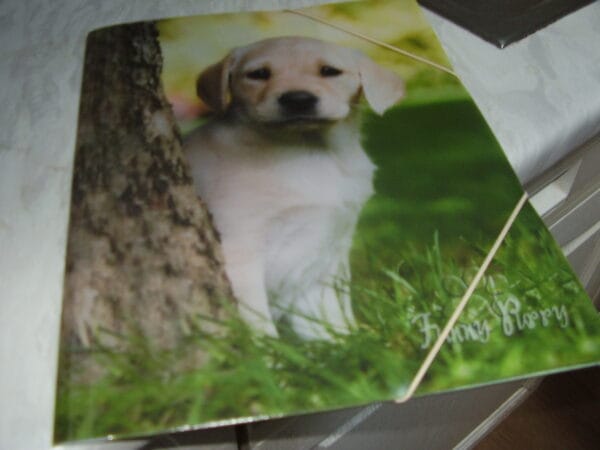 Hond elstische map A4