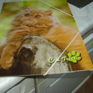 Poes elastische map A4