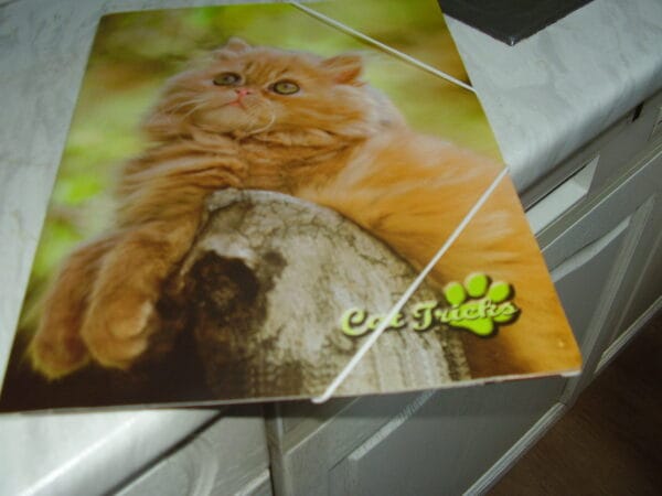 Poes elastische map A4