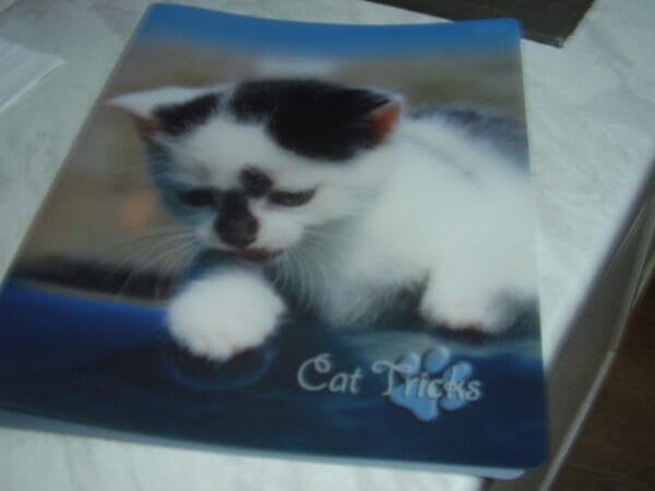 Poes fijne ringmap A4 3cm