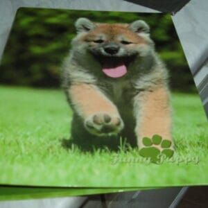 Hond ringmap A4