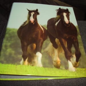 Paard ringmap A4