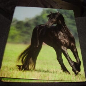 Paard ringmap A4