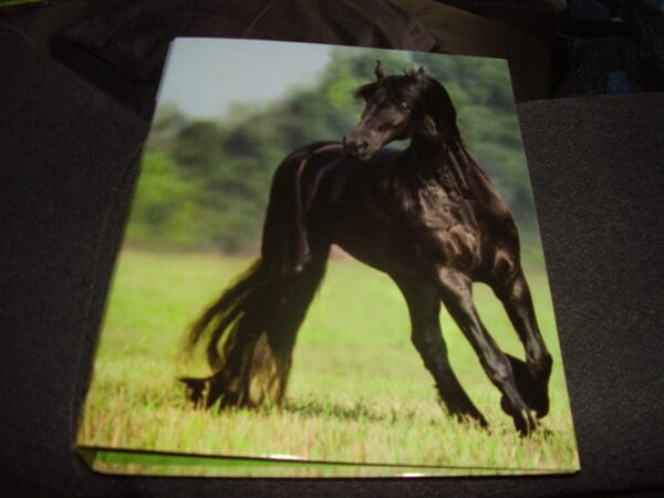 Paard ringmap A4