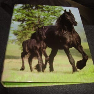 Paard ringmap A4