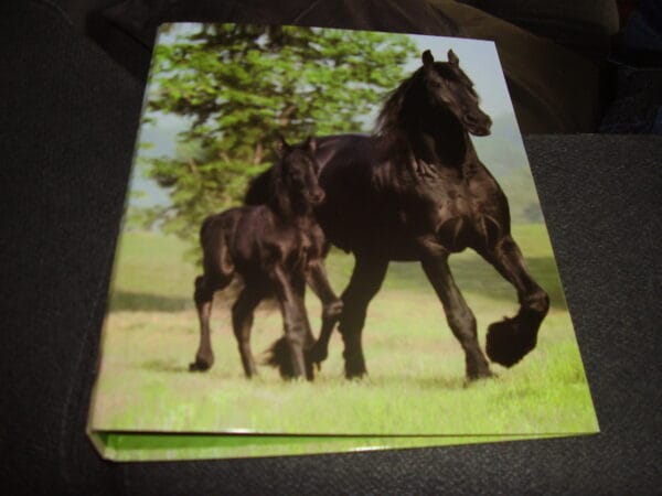 Paard ringmap A4