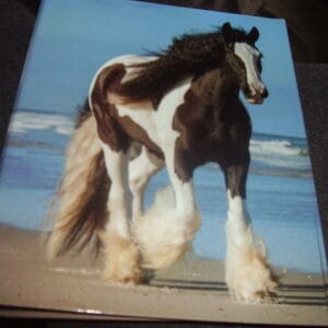 Paard ringmap A4