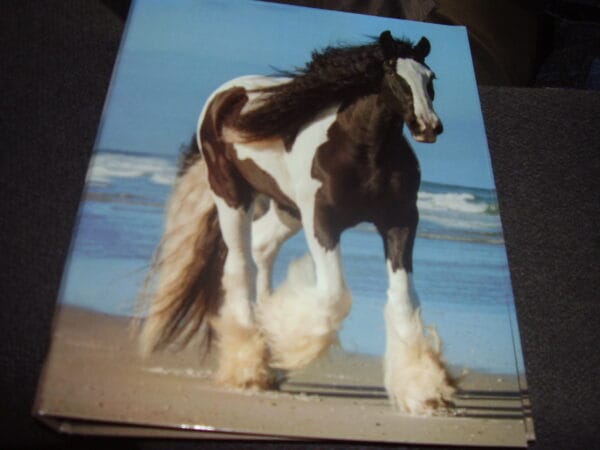 Paard ringmap A4