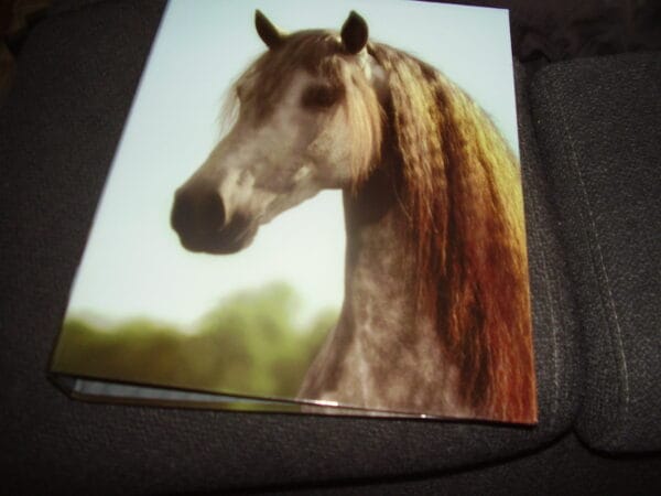 Paard ringmap A4