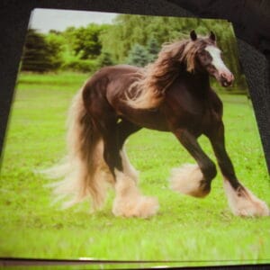 Paard ringmap A4