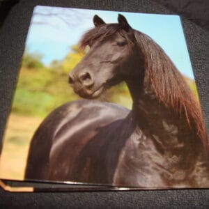 Paard ringmap A4