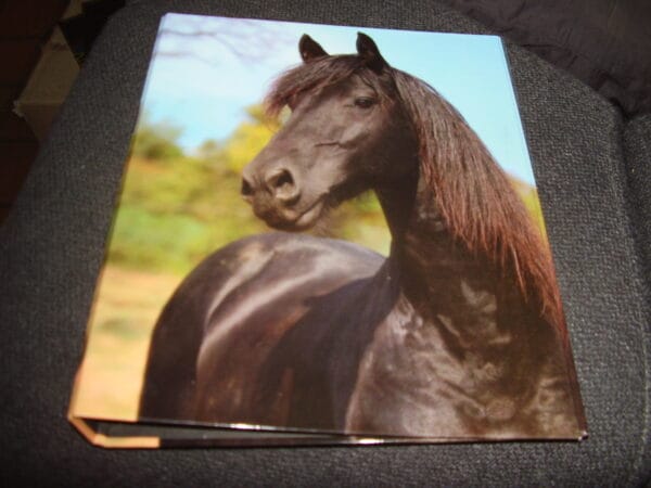 Paard ringmap A4