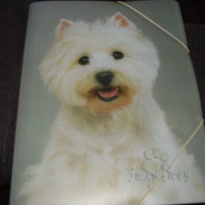Hond elastische map A4